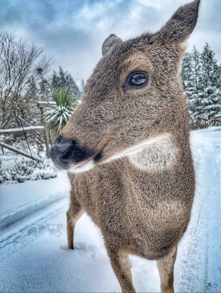 (Amber Chenoweth photo)