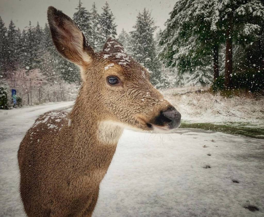 (Amber Chenoweth photo)