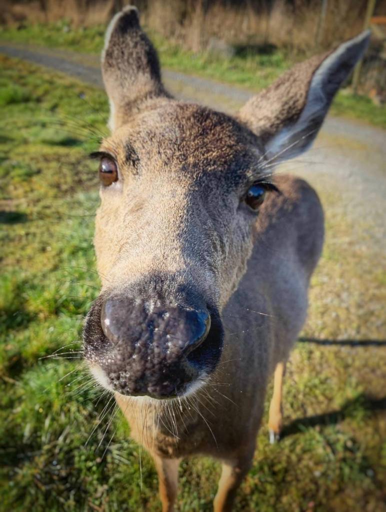 (Amber Chenoweth photo)