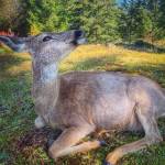 (Amber Chenoweth photo)