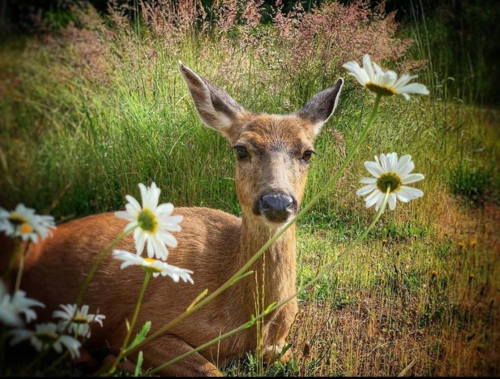 (Amber Chenoweth photo)