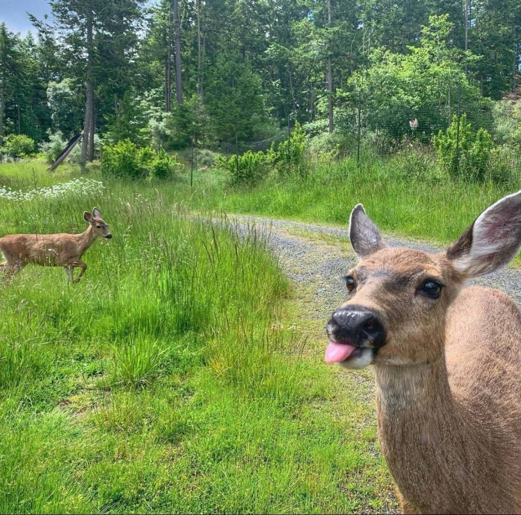 (Amber Chenoweth photo)