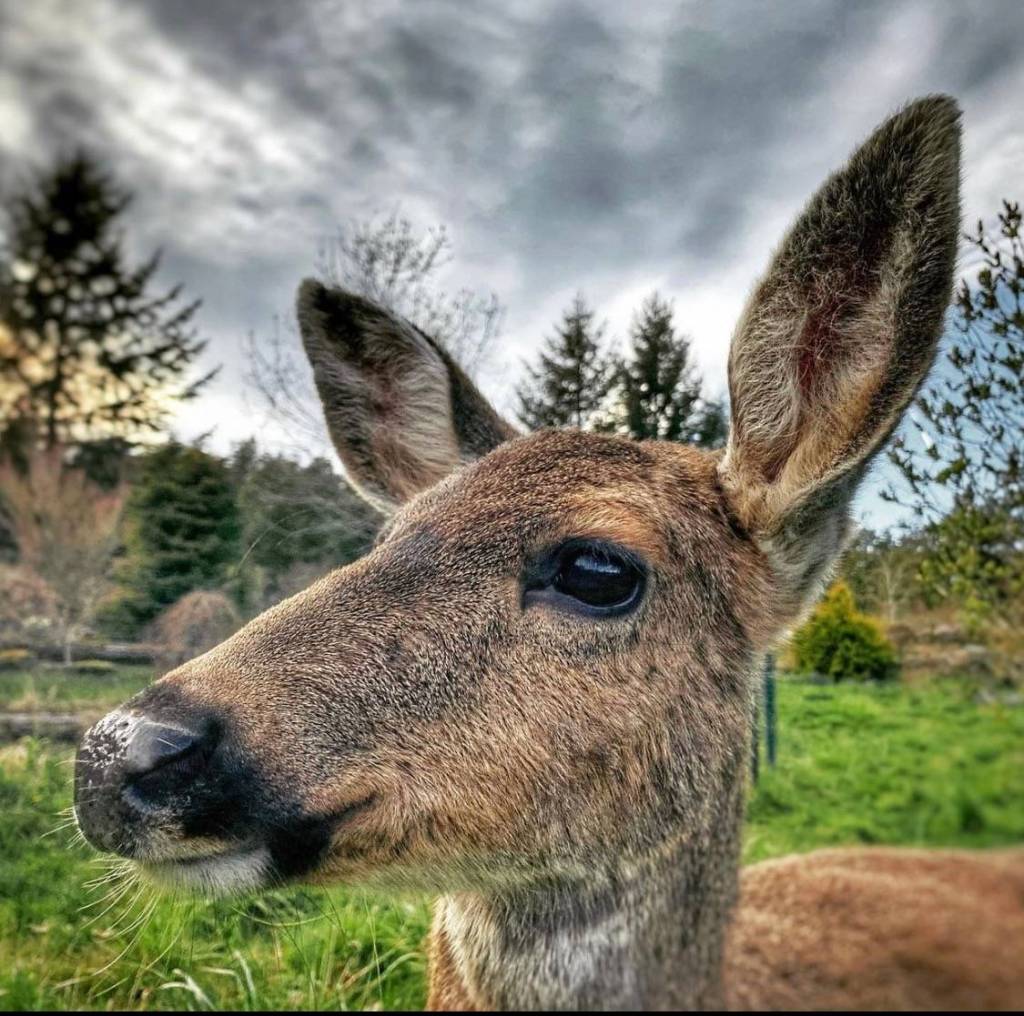 (Amber Chenoweth photo)