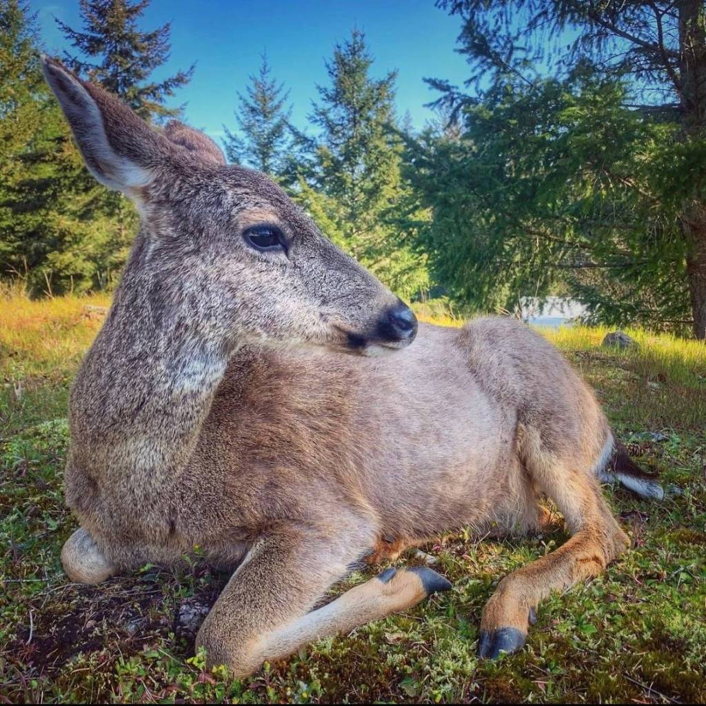 (Amber Chenoweth photo)