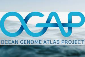 OGAP Logo contributed
Background image from Unsplash