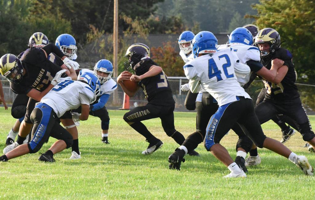 Wolverine Whiley McCutheon, #34, plows through Falcon defense. (John Stimpson photo)
