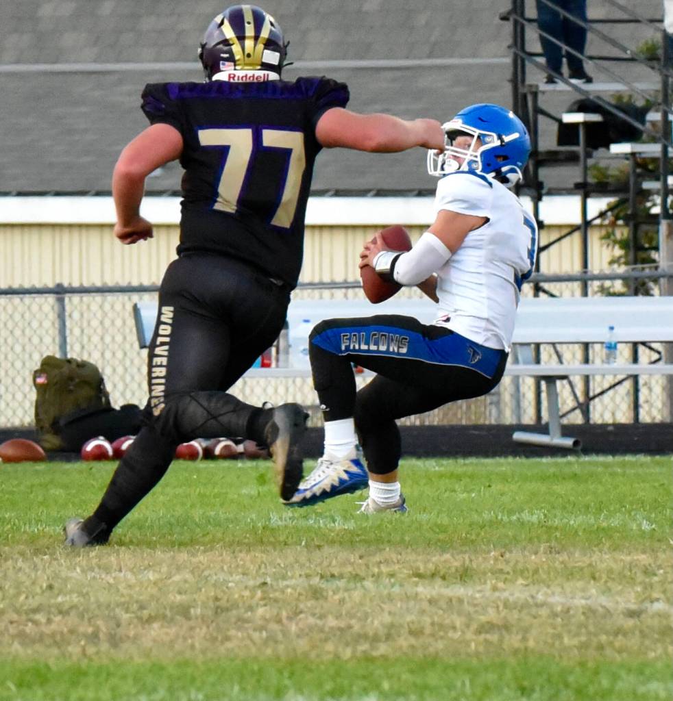 Wolverine Tate Geiser, #77, applies pressure to the Falcon quarterback. (John Stimpson photo)