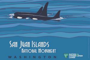 sji monument poster cropped to teaser size