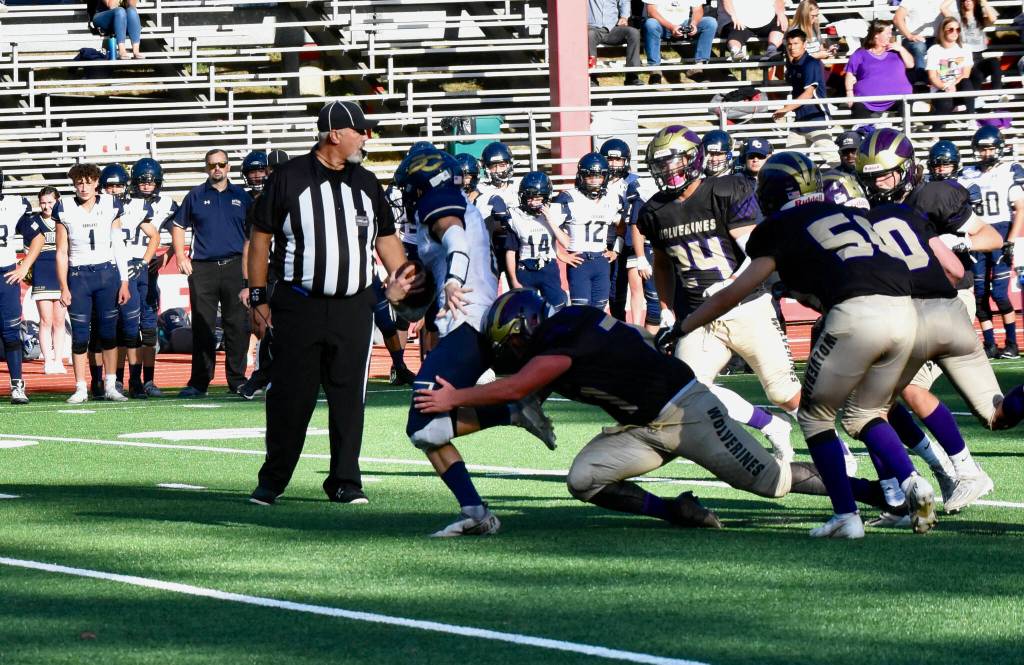 Wolverine Tate Geiser, #77, makes a critical stop of Cougar quarterback. (John Stimpson photo)