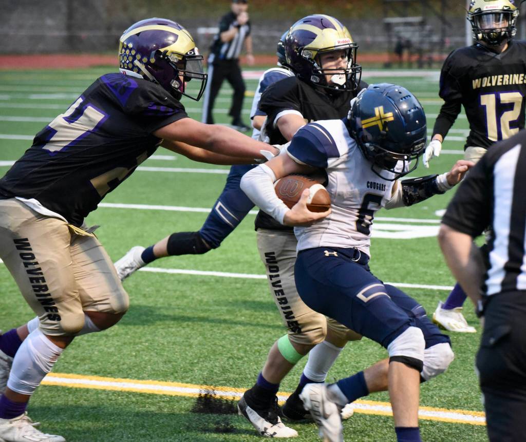 Wolverines Chris Gustafson, #24, and Whiley McCutcheon, #34, stop the Cougars running back. (John Stimpson photo)