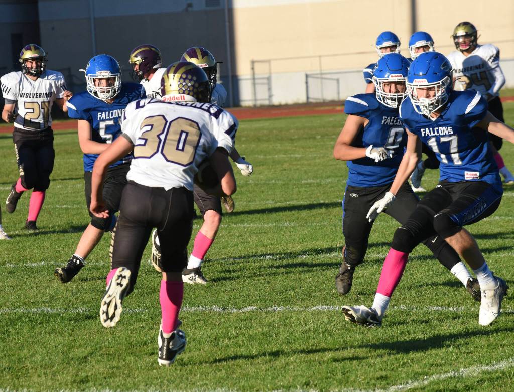 Wolverine Pierce Kleine, #30, heads up field for a good yardage gain. (John Stimpson photo)