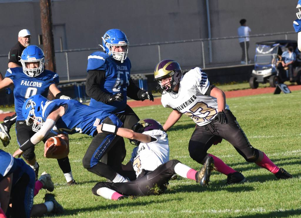 Wolverines Dylan Roberson, #7, and Gavin Garcia, #63, bring down Falcon running back. (John Stimpson photo)