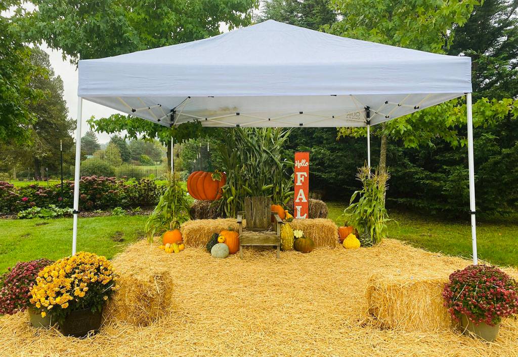 Photo booth
Photo courtesy of Cyrstal Federico