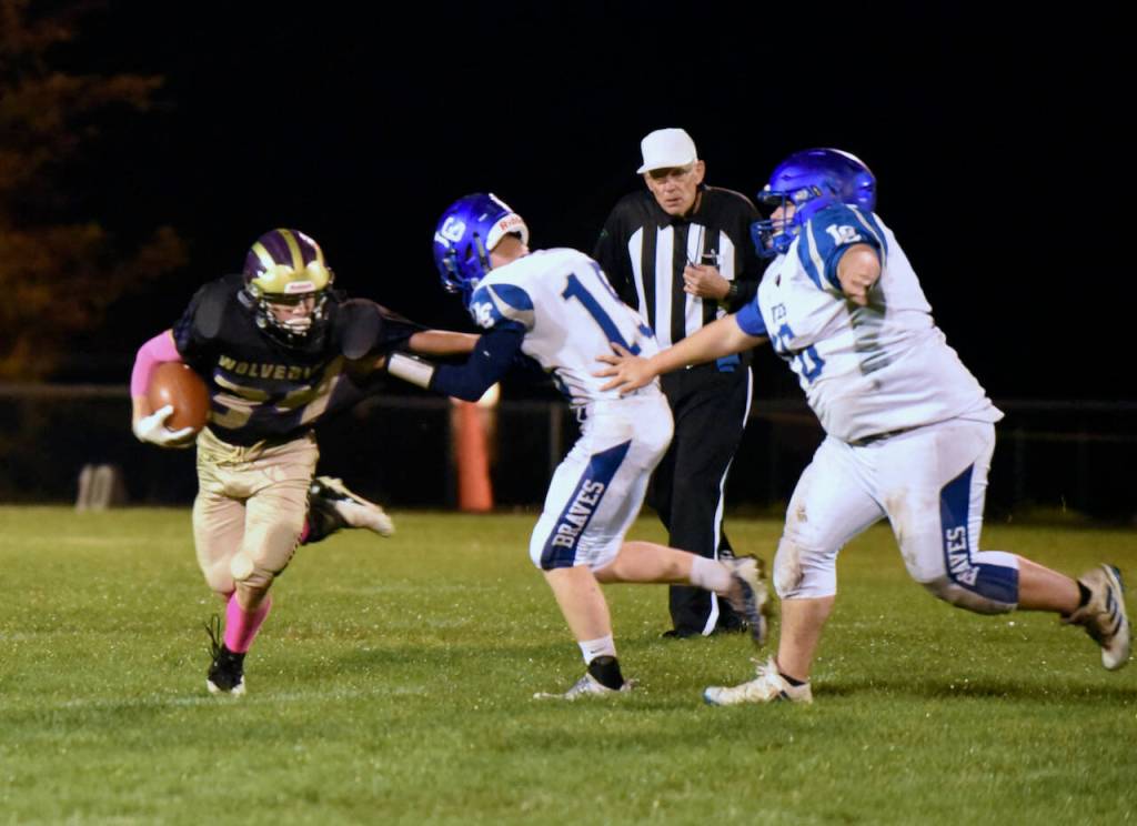 John Stimpson photo
Wolverine Whiley McCutcheon #34 running for a big yardage gain.