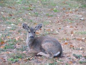 Photo by Sienna Boucher.