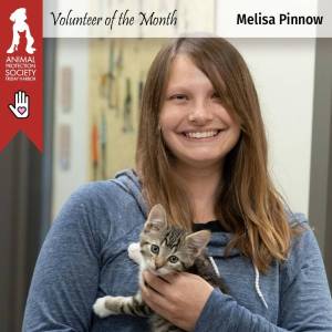 Photo courtesy of The Animal Protection Society - Friday Harbor
Melisa Pinnow.