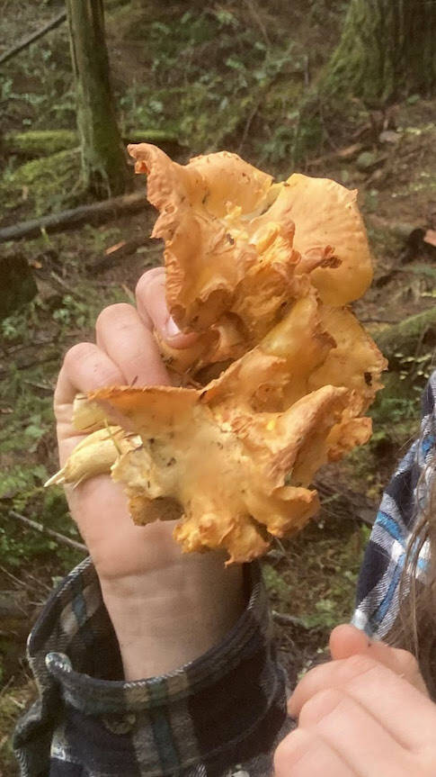 Sienna Boucher// staff photo. 
Holding a chanterelle (photo not taken on San Juan Island).