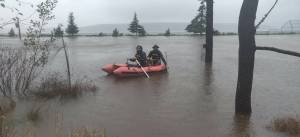 Photo by Krista Davis/Flooding at Odlin Park, Lopez Island