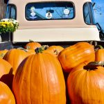 Photos courtesy of J Summers