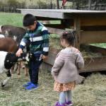 Photos courtesy of J Summers