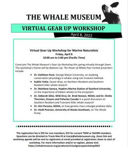 Contributed photo by The Whale Museum