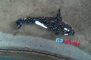 Contributed photo by Backbone Campaign and Alchemy Arts