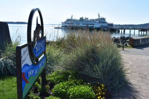 It is not clear when and if Washington State Ferries (WSF) will resume service between Sidney and Anacortes, with one spokesperson saying resumption in the spring of 2022 is increasingly unlikely. (Black Press Media File).