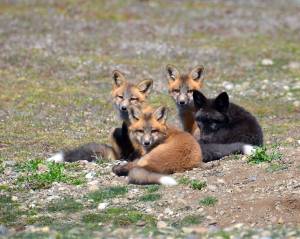 Contributed photo by Monika Wieland Shields