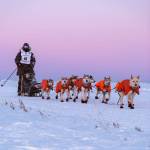 Contributed photo/ Chase Stoddard
Ski polling on the way to finish between Safety and finish in Nome.