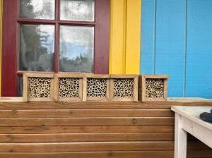 Contributed photo by Lucy Marinkovich and Satchel Bourne