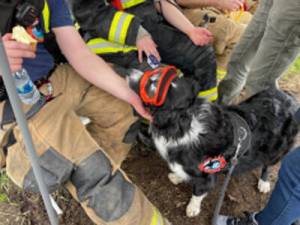 San Juan Island Fire and Rescue/contributed photo