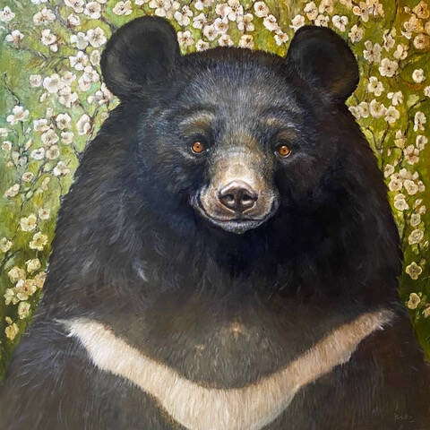 Contributed photo by Jan Murphy
Blossom by Jayne Siroshton