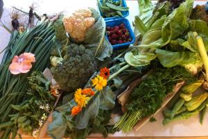 Contributed photo
The artists will focus on the meaning of eating local.