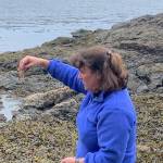 Heather Spaulding / Staff photo
Dr. Erika Iyengar discuses sea weed
