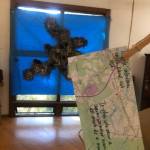 Contributed photo by Nikyta Palmisani