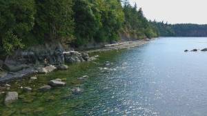 San Juan Preservation Trust/Contributed photo
Glenwood shoreline.