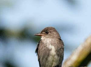 Contributed photo by Jack Riley