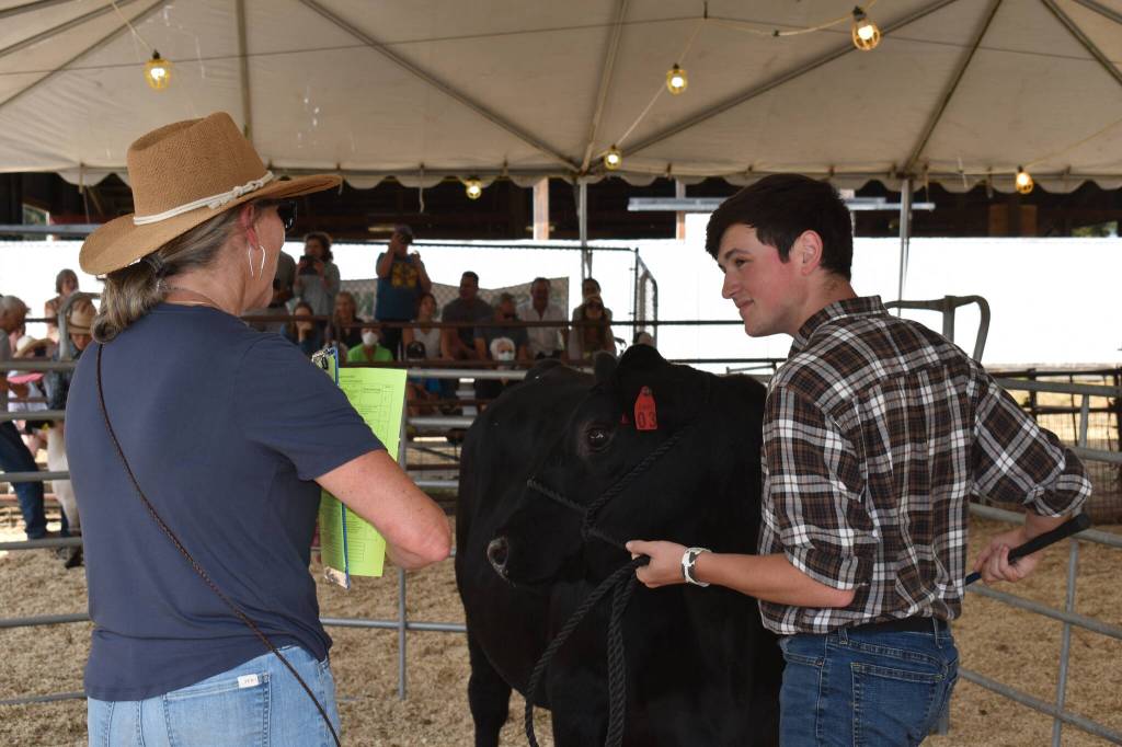 Kelley Balcomb-Bartok/Staff photo