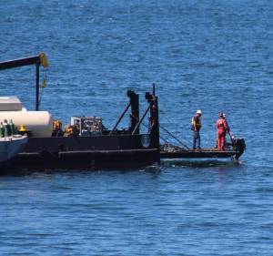 Heather Spaulding \ Staff photo
Diver returns to the surface after assessing the Aleutian Isle Aug. 15.