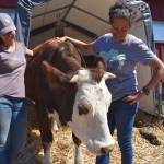 Kelley Balcomb-Bartok  Staff photo
Braunti Cobb and Julie Duke share a happy moment with Bessie, a milk cow the two bottle raised from a baby.