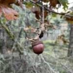 Contributed photo by the San Juan County Conservation Land Bank