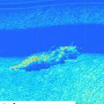 Contributed photo by the NTSB
Underwater imaging of the plane