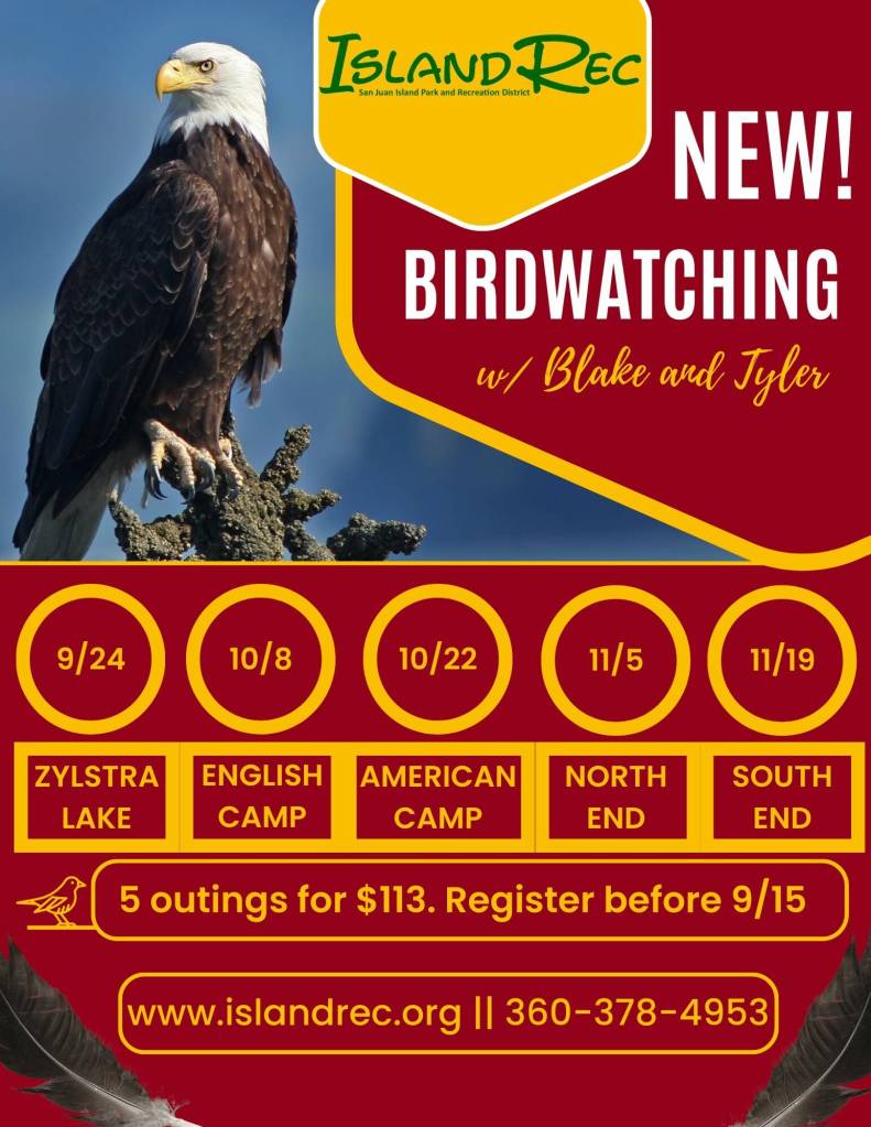 Contributed photo by Island Rec.