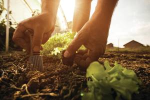 MetroCreative photo.