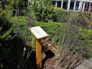 Contributed photo by the Town of Friday Harbor