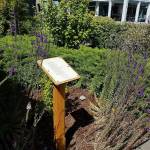 Contributed photo by the Town of Friday Harbor