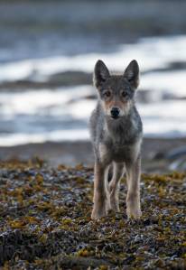 Contributed photo by Kevin Eastwood