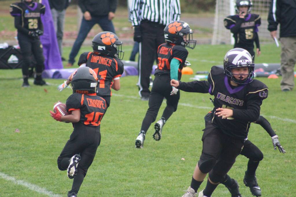 Heather Spaulding \ Staff photo
Pee Wees run to make a touchdown.