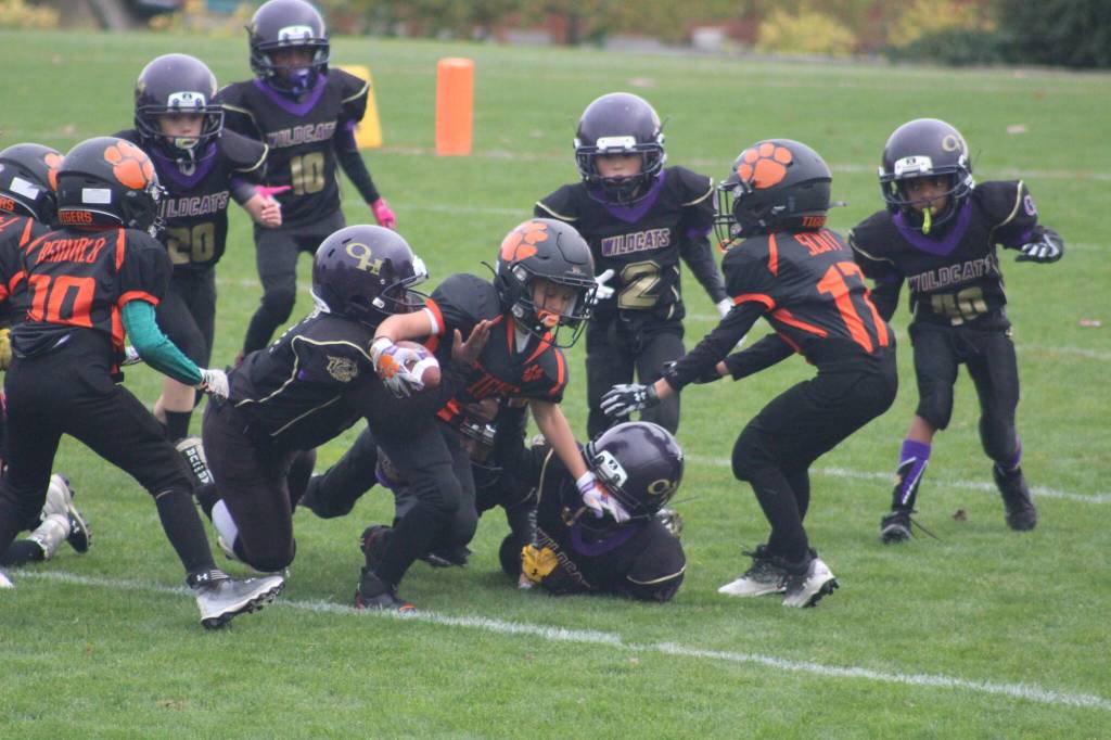 Heather Spaulding \ Staff photo
Pee Wees escape being tackled.