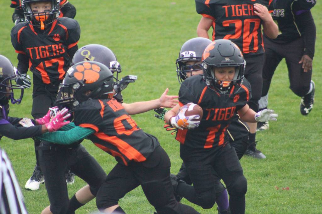 Heather Spaulding \ Staff photo
Pee Wee breaks through toward a touchdown.